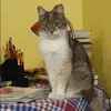 Отзыв от Анфиса Верещагина